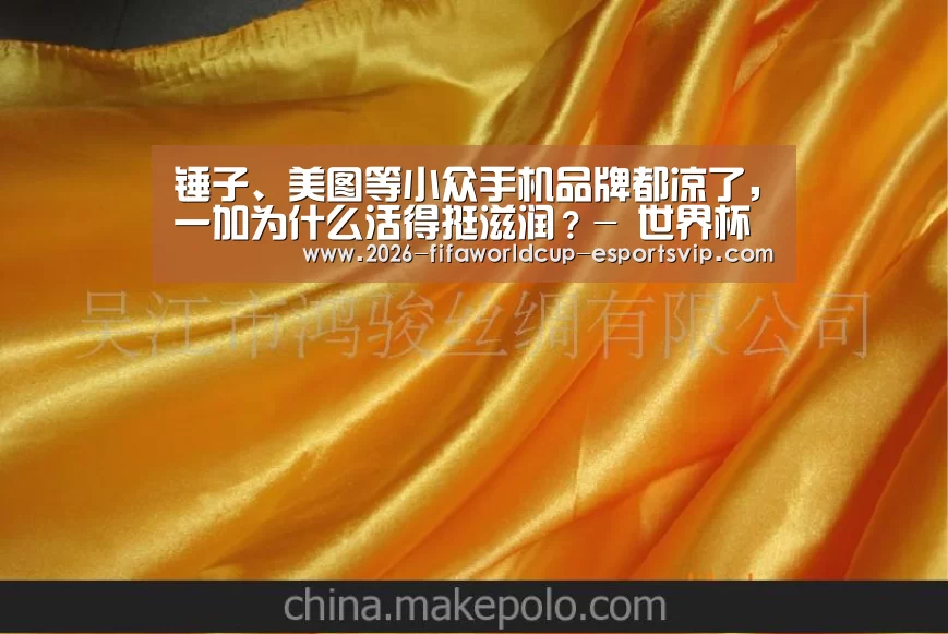 锤子、美图等小众手机品牌都凉了,一加为什么活得挺滋润?- 世界杯实时比分(图1) 世界杯实时比分