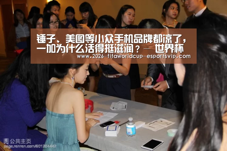 锤子、美图等小众手机品牌都凉了,一加为什么活得挺滋润?- 世界杯实时比分(图2) 世界杯娱乐中心
