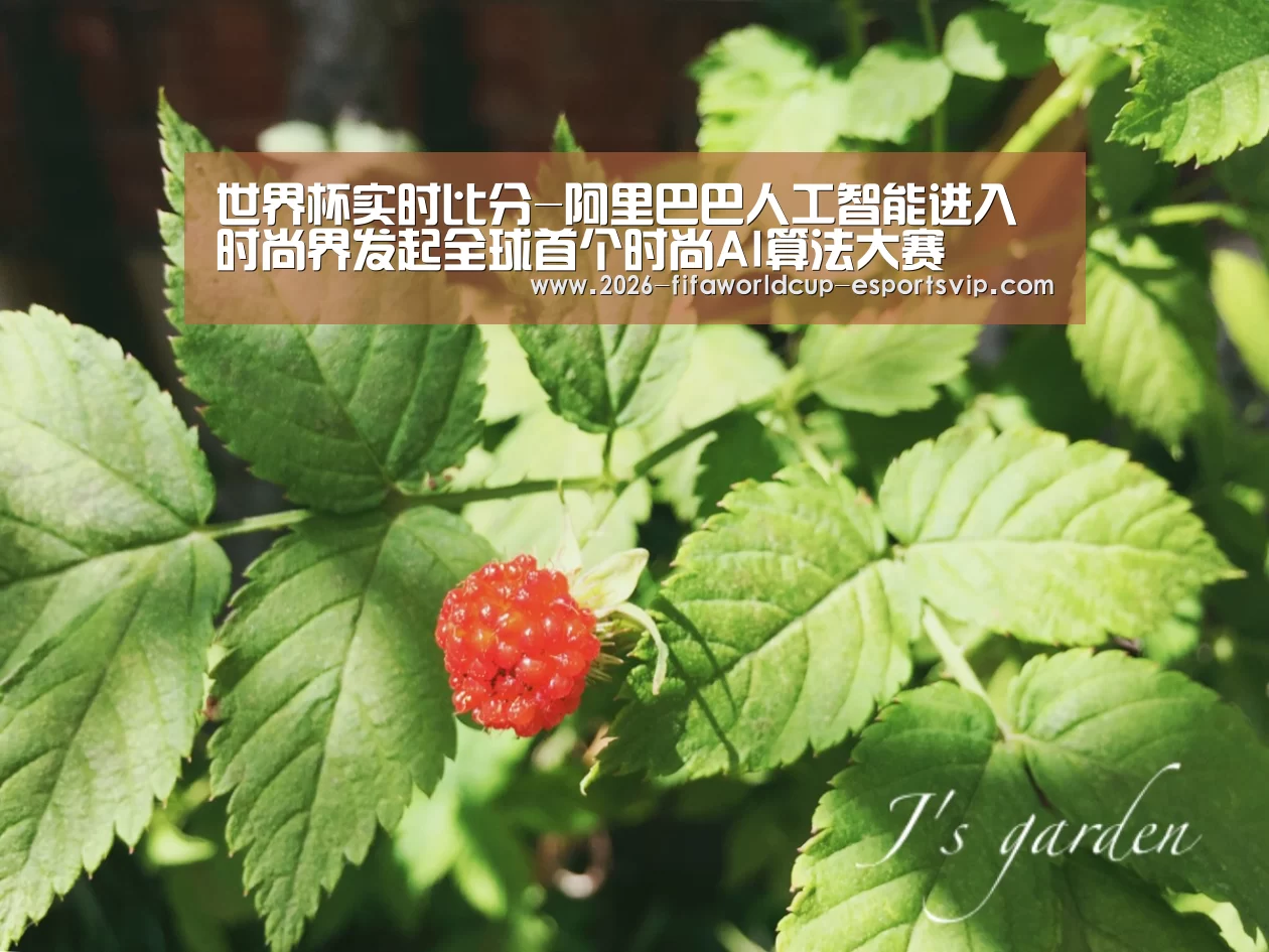 世界杯实时比分-阿里巴巴人工智能进入时尚界发起全球首个时尚AI算法大赛(图1) 世界杯足球赛事