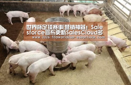 世界杯足球赛事|营销神器!Salesforce宣布更新SalesCloud多项功能(图1) 世界杯体育平台