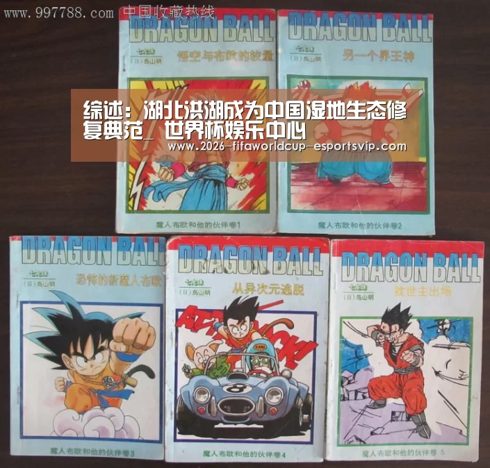 综述:湖北洪湖成为中国湿地生态修复典范_ 世界杯娱乐中心(图1) 世界杯足球赛事