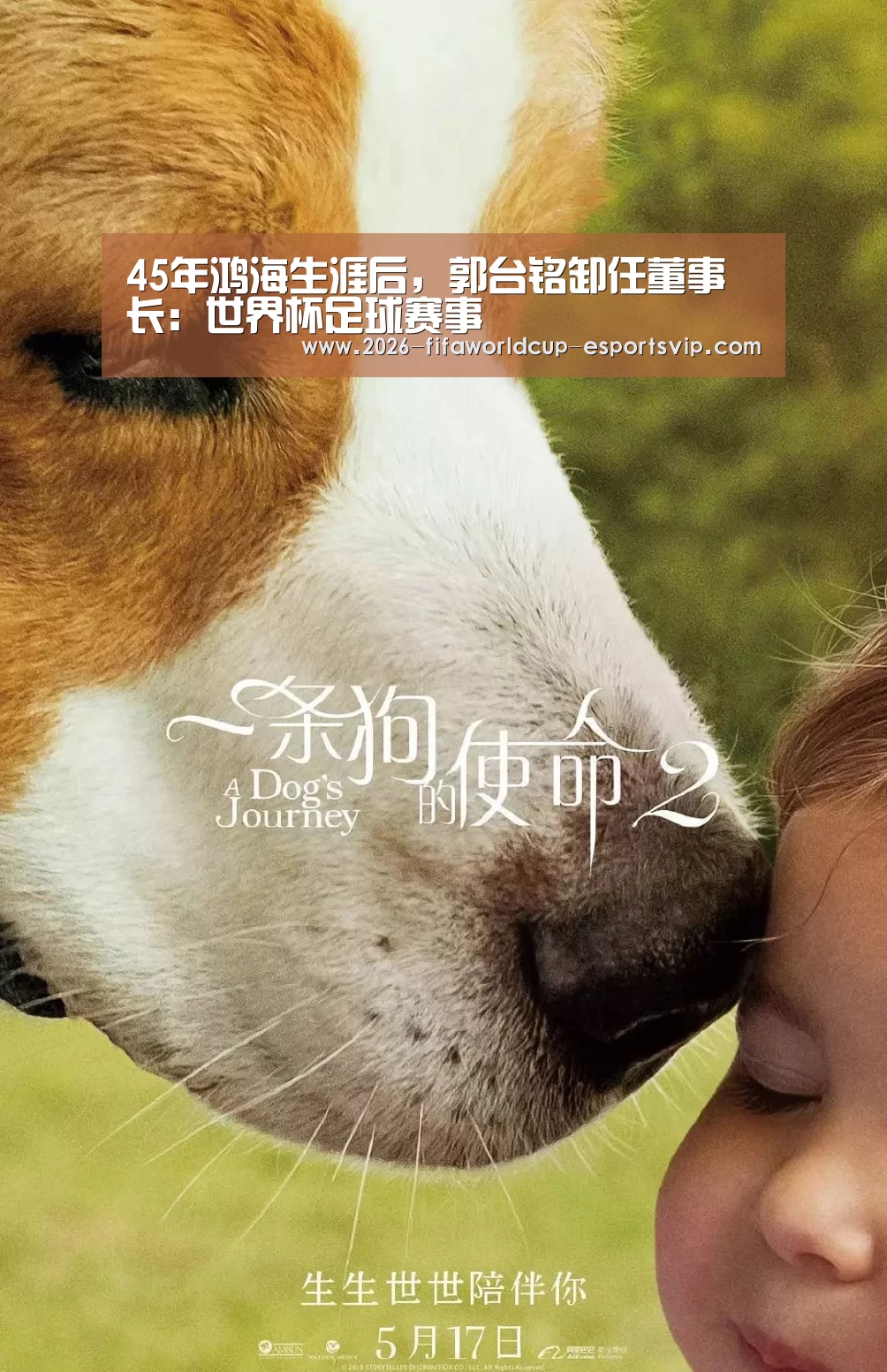 世界杯足球赛事