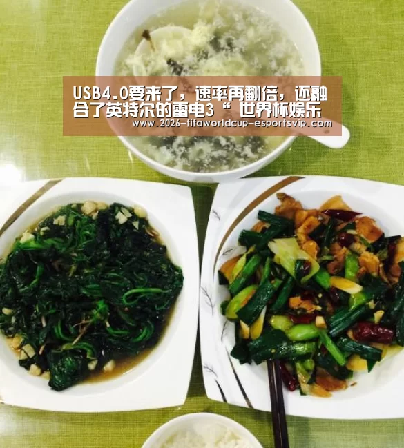 USB4.0要来了,速率再翻倍,还融合了英特尔的雷电3“ 世界杯娱乐中心”(图1) 世界杯足球赛事