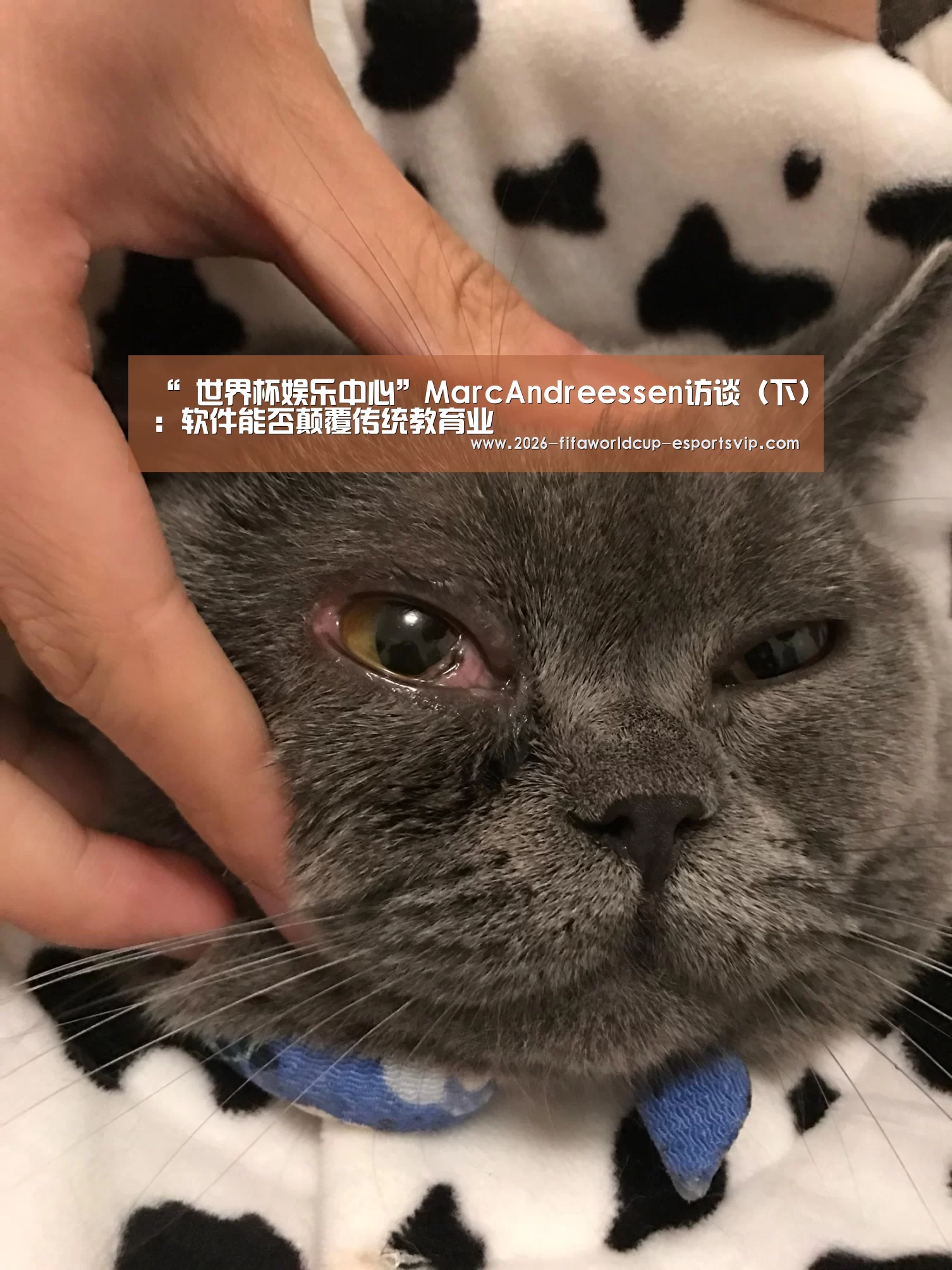 “ 世界杯娱乐中心”MarcAndreessen访谈(下):软件能否颠覆传统教育业(图4) 世界杯体育平台