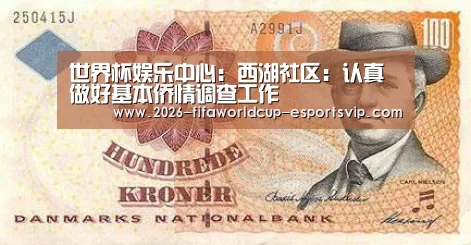 世界杯娱乐中心:西湖社区:认真做好基本侨情调查工作(图1) 世界杯娱乐中心