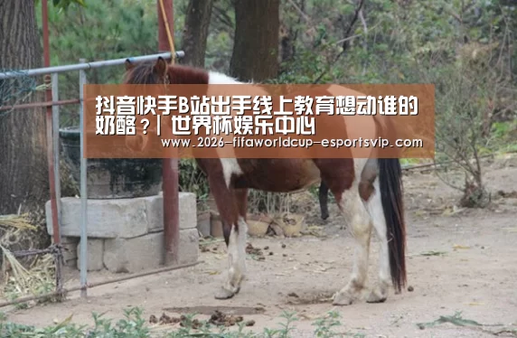 抖音快手B站出手线上教育想动谁的奶酪?| 世界杯娱乐中心(图2) 世界杯体育平台