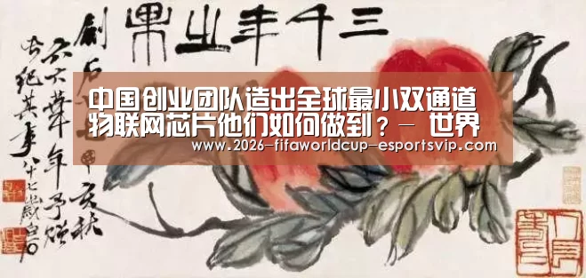 中国创业团队造出全球最小双通道物联网芯片他们如何做到?- 世界杯娱乐中心(图1) 世界杯娱乐中心