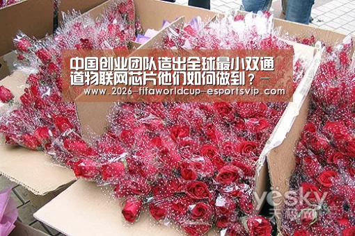 中国创业团队造出全球最小双通道物联网芯片他们如何做到?- 世界杯娱乐中心(图4) 世界杯实时比分