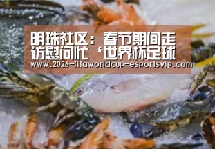 明珠社区:春节期间走访慰问忙‘世界杯足球赛事’(图1) 世界杯足球赛事