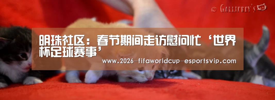 明珠社区:春节期间走访慰问忙‘世界杯足球赛事’(图2) 世界杯实时比分