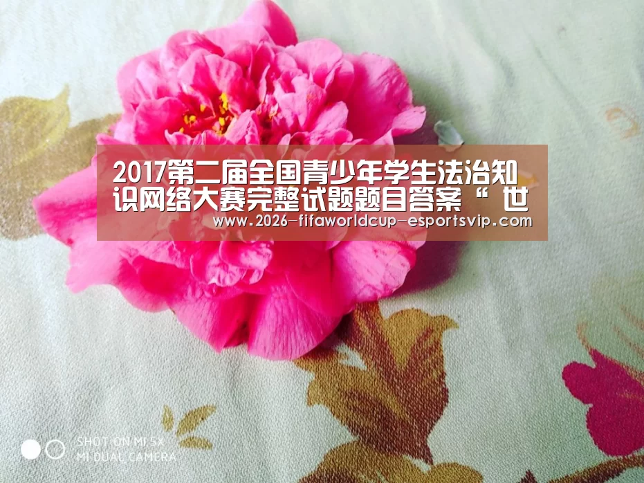 世界杯足球赛事