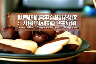 世界杯体育平台|梅花社区:开展小区楼道卫生死角专项整治行动(图2) 世界杯实时比分