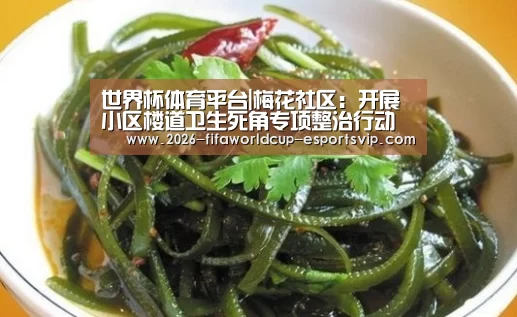 世界杯体育平台|梅花社区:开展小区楼道卫生死角专项整治行动(图1) 世界杯足球赛事
