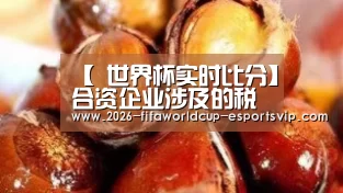 【 世界杯实时比分】合资企业涉及的税务该如何优化、申报、盘算?看这一篇就够了(图2) 世界杯娱乐中心
